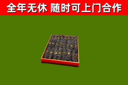 金川烟酒回收海参.jpg